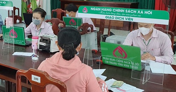 Hiệu quả từ nguồn vốn vay của Ngân hàng chính sách xã hội huyện Phúc Thọ uỷ thác thông qua Hội Nông dân xã Vân Hà.